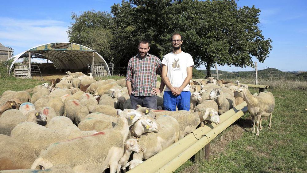 Melchior Laboissière (à gauche) et Ulysse Robin ont opté pour un système ovin pastoral bien adapté à leurs surfaces, constituées pour plus de la moitié de parcours. © F. Ehrhard